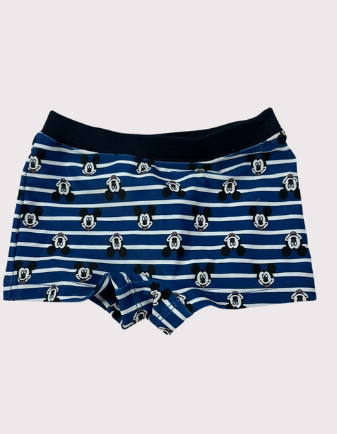 Iconic Stripes Swim Shorts
