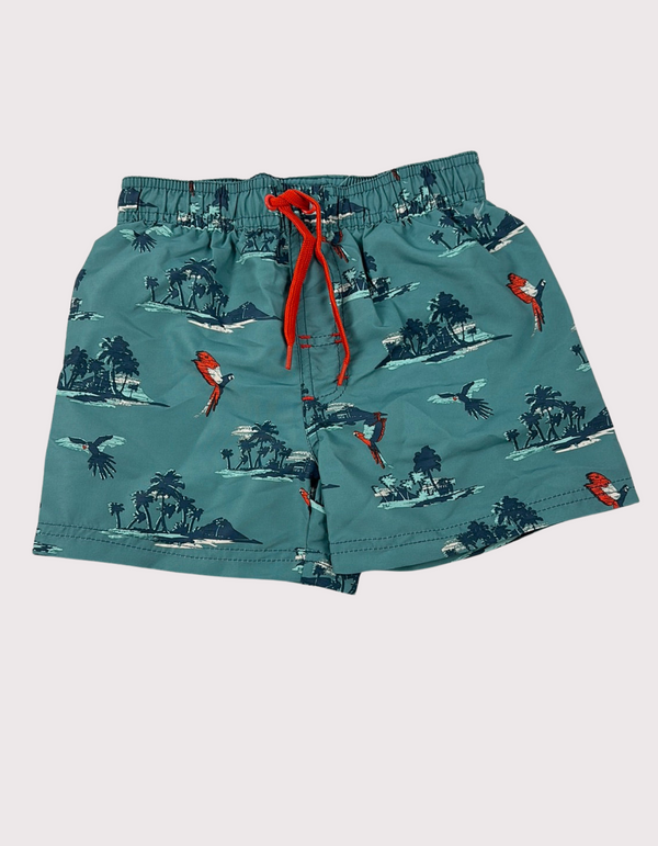 Nautical Neon Lime Swim Trunks 