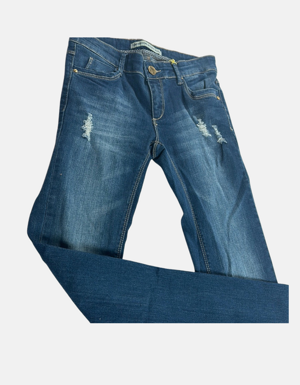 Distressed Denim Glory Jeans