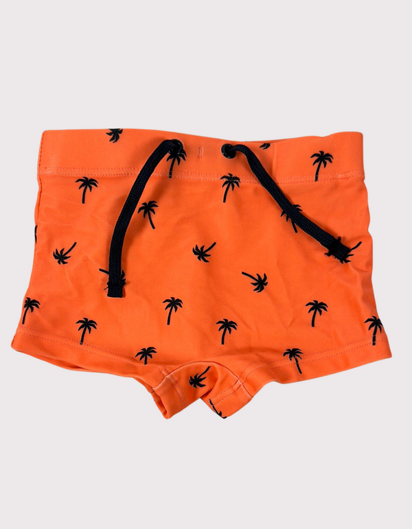 Sunset Palm Swim Trunks