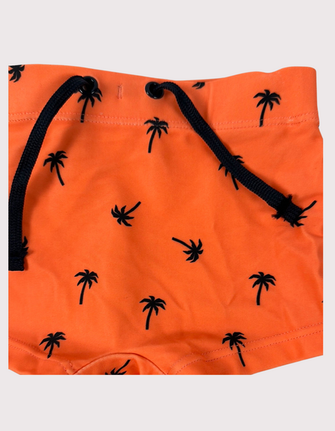 Sunset Palm Swim Trunks