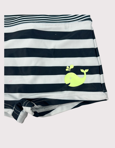 Nautical Whimsy Swim Shorts