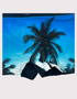 Sunset Palms Swim Trunks