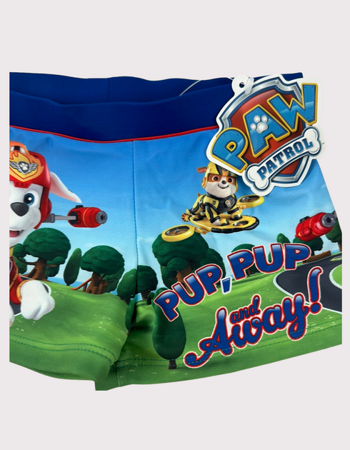 Adventure Pups Hero Swim Trunks