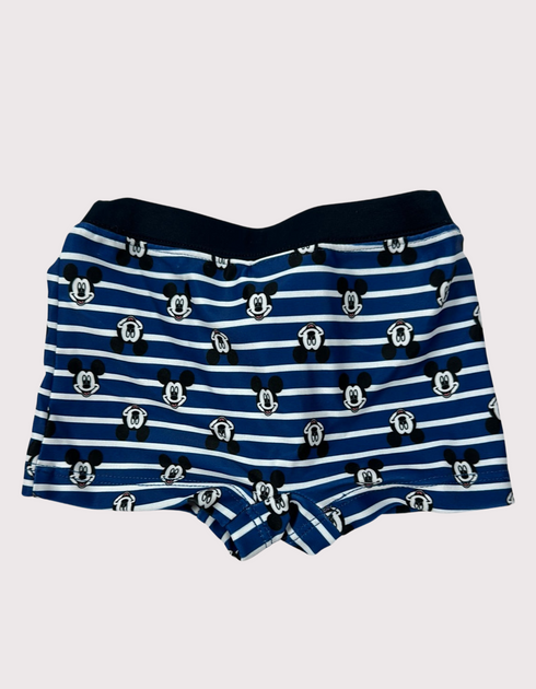 Iconic Stripes Swim Shorts