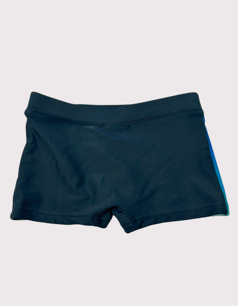 Sunset Palms Swim Trunks