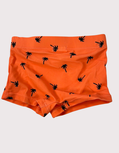 Sunset Palm Swim Trunks
