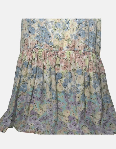 Floral Print Sleeveless Drop Waist Dress
