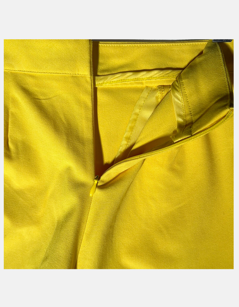Sunshine Skort Delight